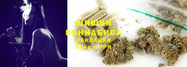 ГАЛЛЮЦИНОГЕННЫЕ ГРИБЫ Алзамай