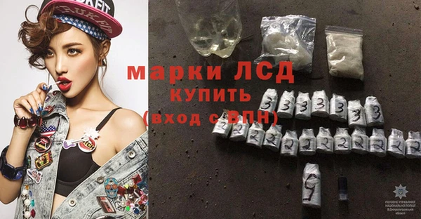 ГАЛЛЮЦИНОГЕННЫЕ ГРИБЫ Алзамай