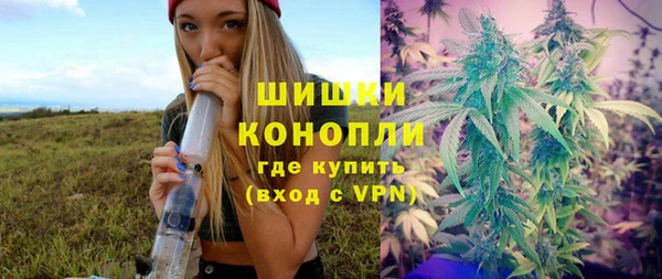 ГАЛЛЮЦИНОГЕННЫЕ ГРИБЫ Алзамай