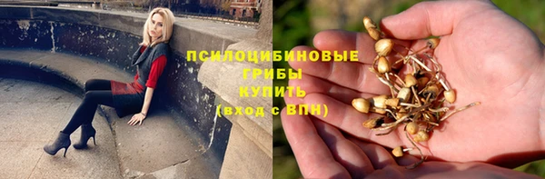 метамфетамин Алексеевка