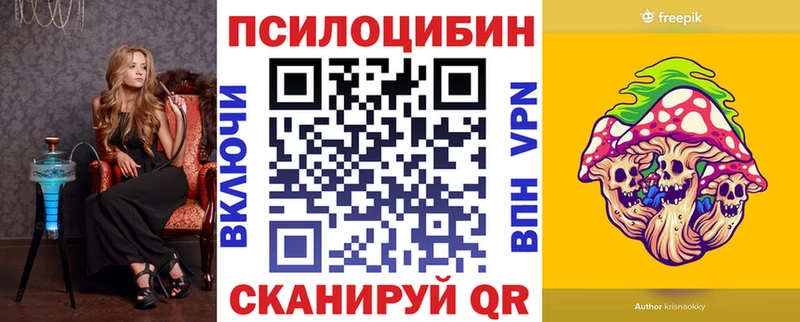гидра Цивильск Псилоцибиновые грибы Cubensis
